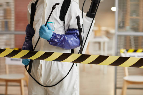 Professional Biohazard Cleanup technician working in Mount Judea, AR